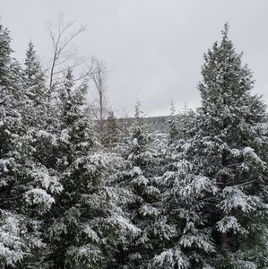 Meet your Posher, Alaina